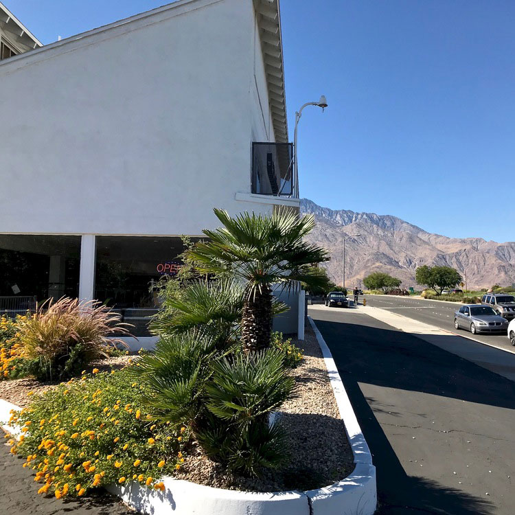 Cannabis Commercial Real Estate Firm In Palm Springs California